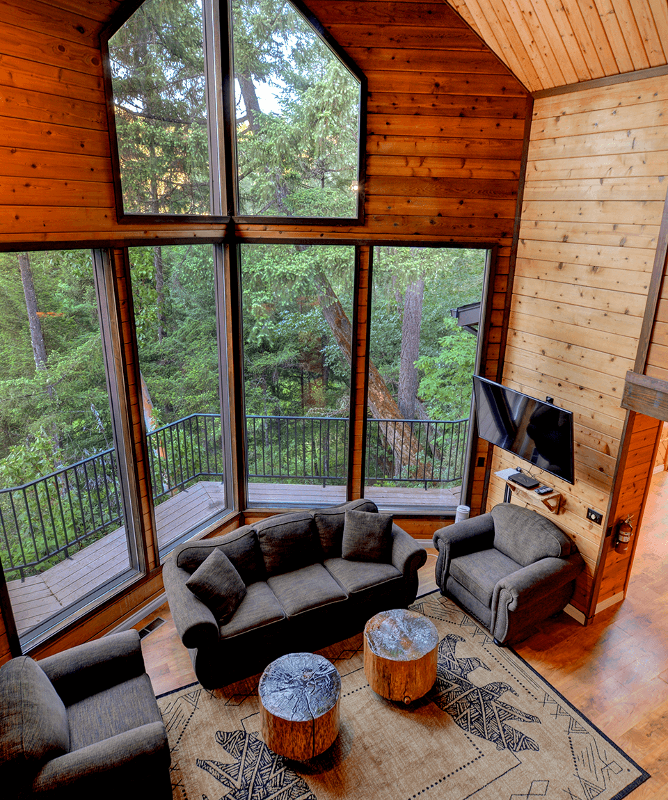 Treetops_House_Living_Room